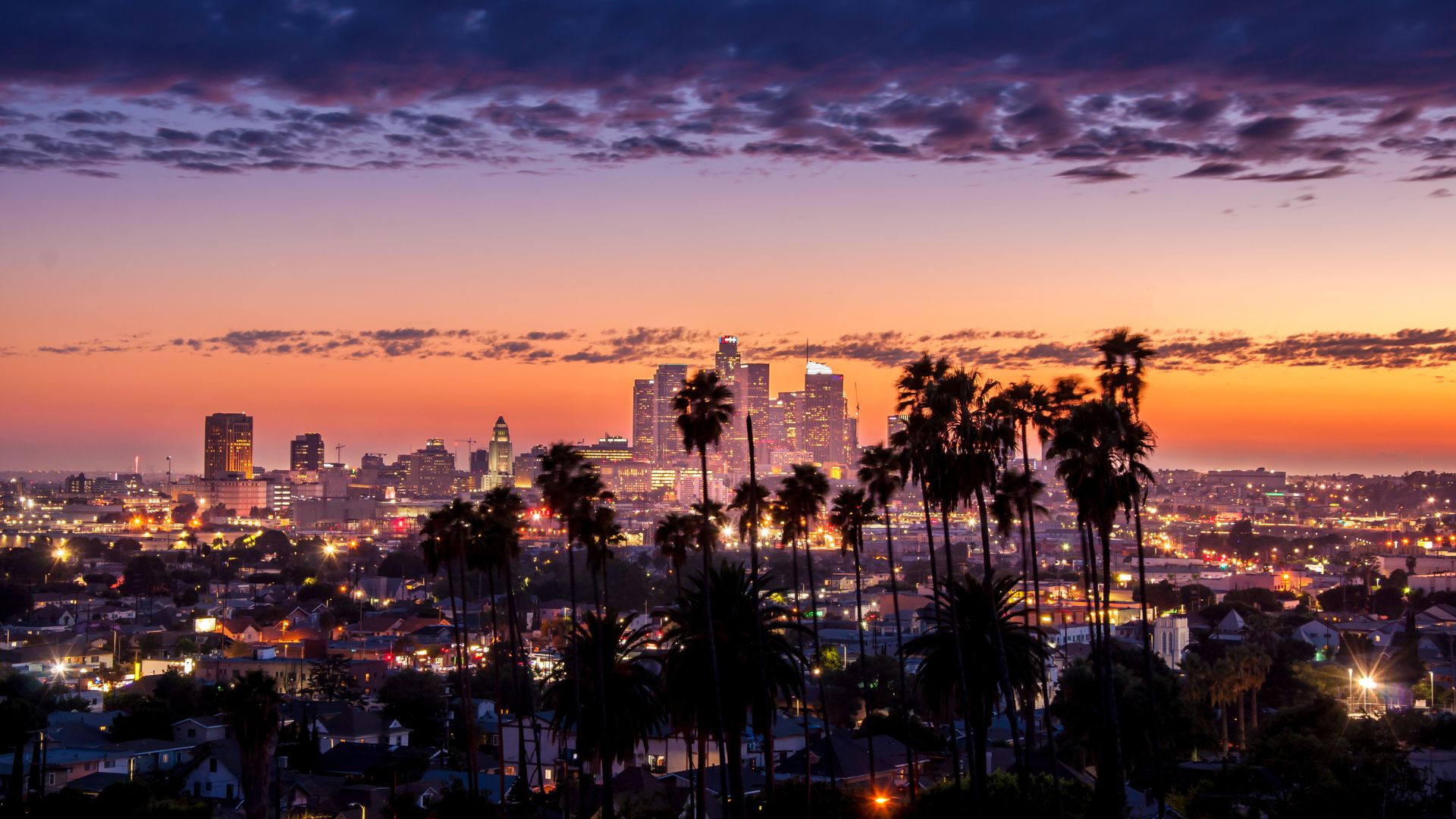 Los Angeles skyline at dusk with palm trees